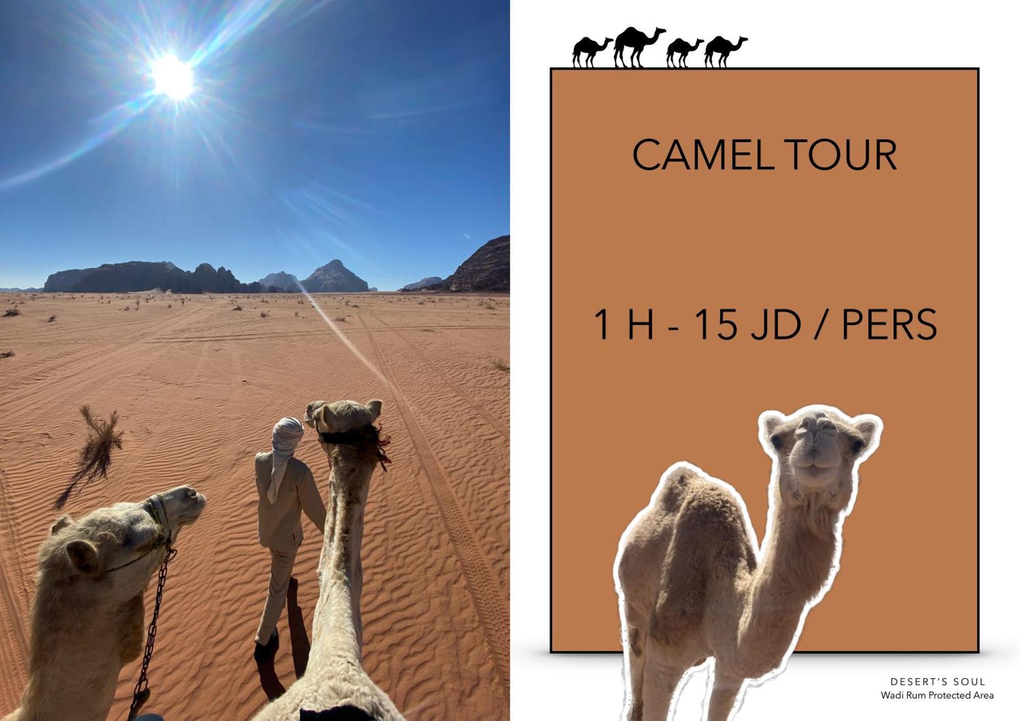 Desert'S Soul Wadi Rum Ad Disah المظهر الخارجي الصورة