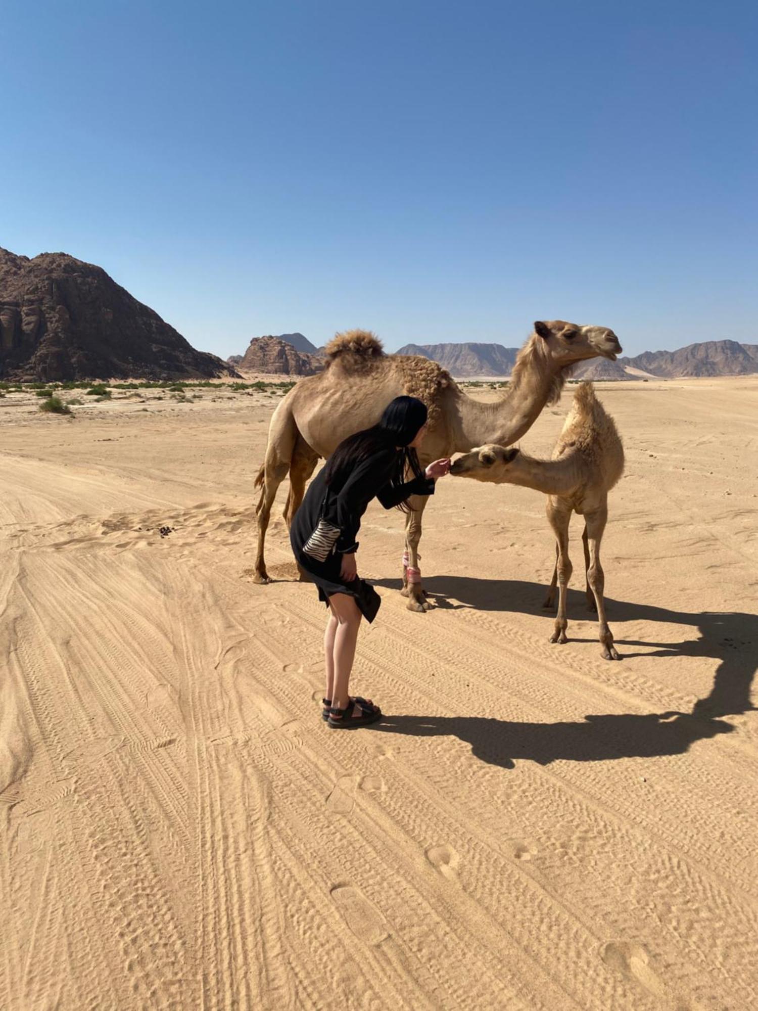 Desert'S Soul Wadi Rum Ad Disah المظهر الخارجي الصورة